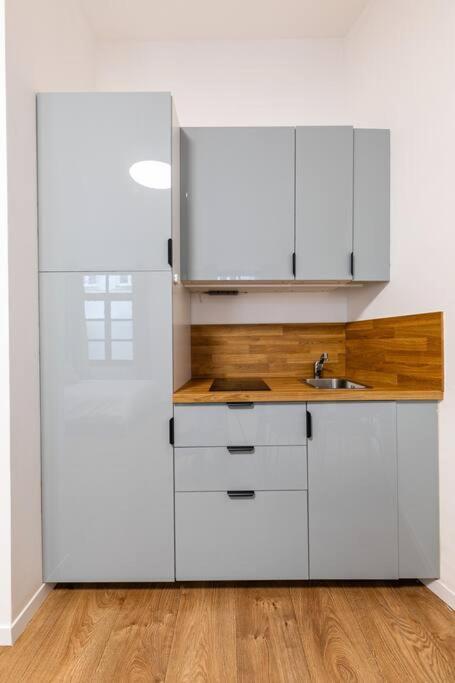 שטרסבורג Tres Chic Studio/Petite France מראה חיצוני תמונה